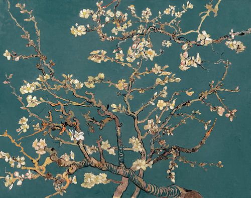 Mandelblüte von Vincent van Gogh (Teal) von Masters Revisited