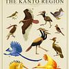 Birds of Kanto by Steven Kingsbury