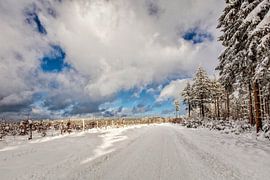 Botrange by Rob Boon