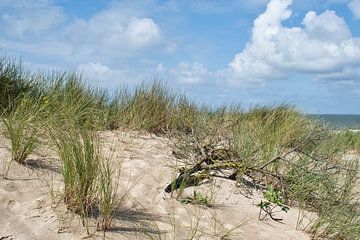 Terug naar de kust met blauwe lucht en witte wolkendek sur Jolanda de Jong-Jansen