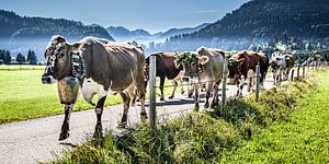 Unter Beobachtung Panoramaformat