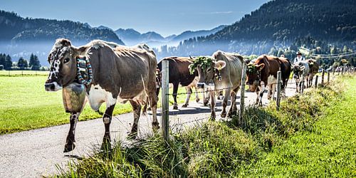 Customer inquiry 01-05