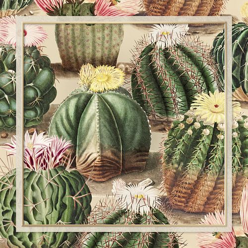 Le Collage de Cactus Vintage sur Marja van den Hurk
