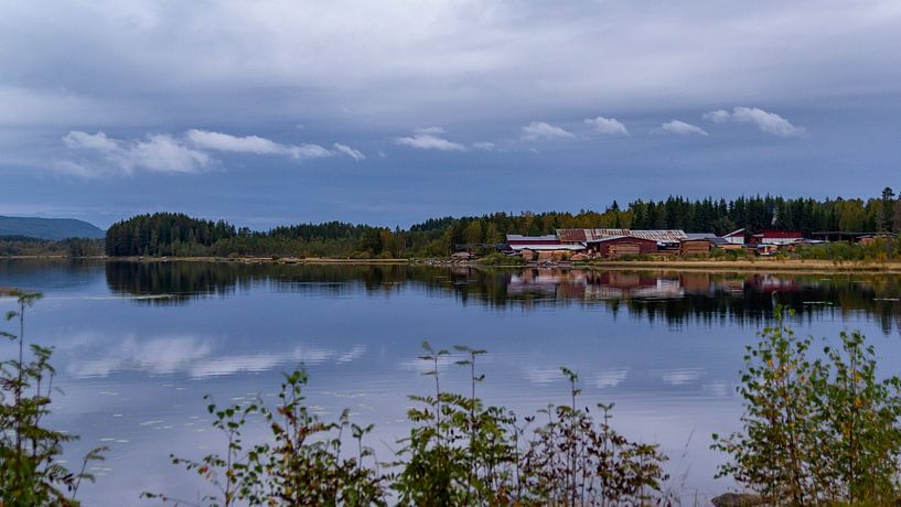 Sawmill by Stefanie van Dijk