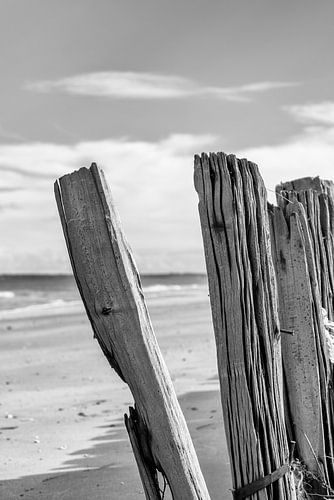 Omaha Beach abstract