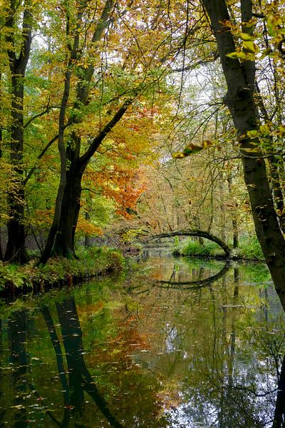 Spreewald von Thomas Jäger