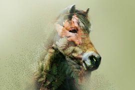 forest leaves van Kim van Beveren