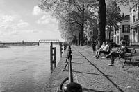 Street Life