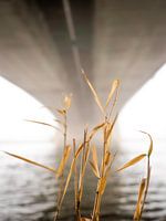 Under the bridge