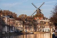 Schiedam, Lange Haven met Molen de Walvis