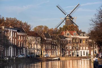 Schiedam, Lange Haven with Windmill de Walvis