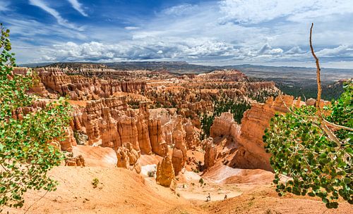 Bryce Canyon by Edwin Mooijaart
