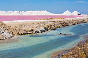 Landschap met roze zoutmeer en bergen zout op het eiland Bonaire van Ben Schonewille