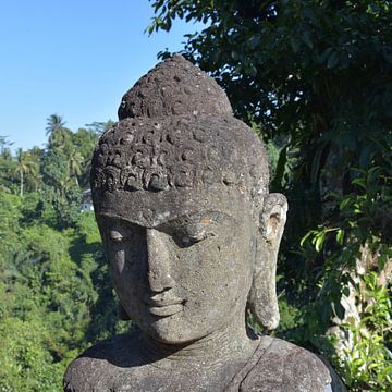 Boeddha jungle Bali van Bianca ter Riet