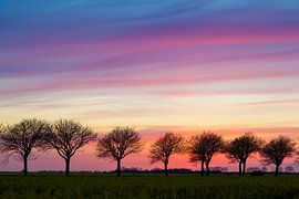 Mehlbeeren Avenue by Sven-Erik Arndt