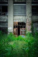 Verlassene Fabrik – Zerfallene Türen und wuchernde Natur
