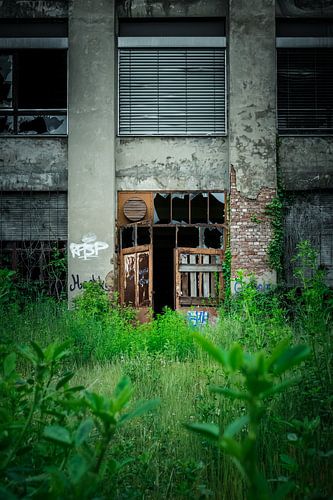 Usine abandonnée - Portes en ruine et nature envahissante