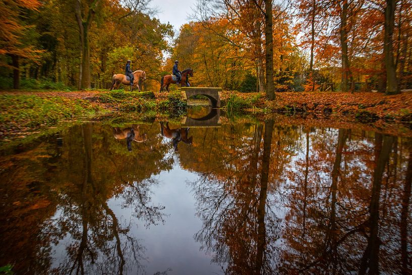 Paardenbrug van peterheinspictures