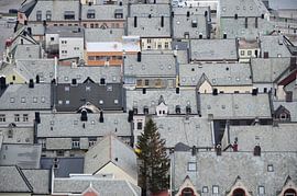 Roofs of Ålesund by Hans Kool