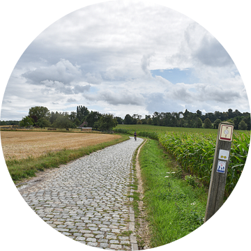 Wielrenner op de top van de Kwaremont van Gonnie van Hove