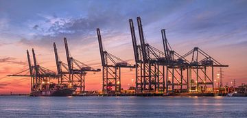 Container terminal at blue and red colored sunset  by Tony Vingerhoets