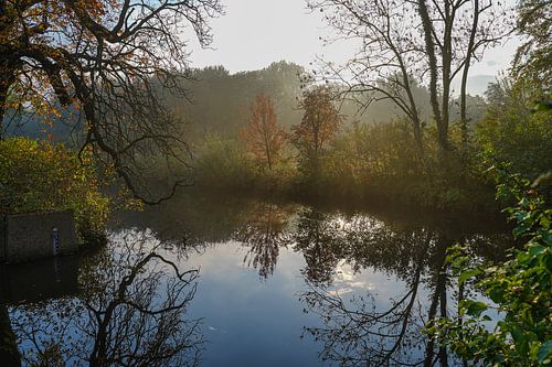 Omgeving Kasteel van Rhoon, water en wandel gelegenheid park , trouwen