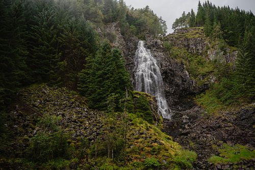 Waterval opgaand in het landschap