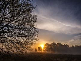 Lande d'Ermelose le matin
