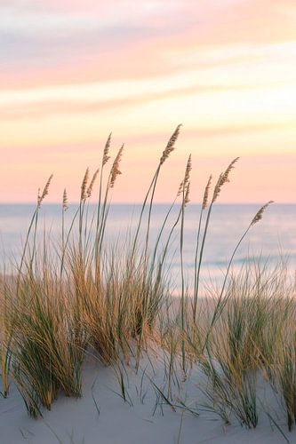 Strand en avondlucht in harmonie