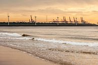 Harbour at sunset by Thomas van der Willik thumbnail