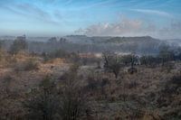 Kennemerduinen