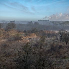 Kennemerduinen von Machiel Kraaij