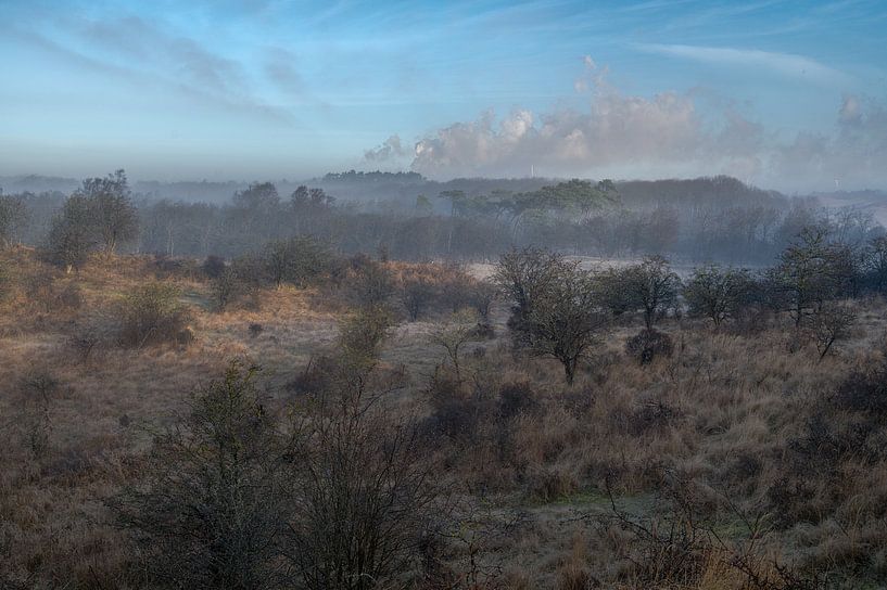 Kennemerduinen by Machiel Kraaij