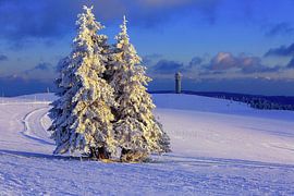 Winter im Schwarzwald von Patrick Lohmüller
