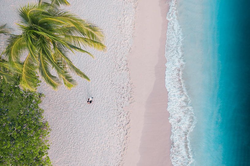 Hawaii by Hello Pompoyo