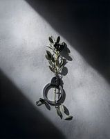 A Broken Promise