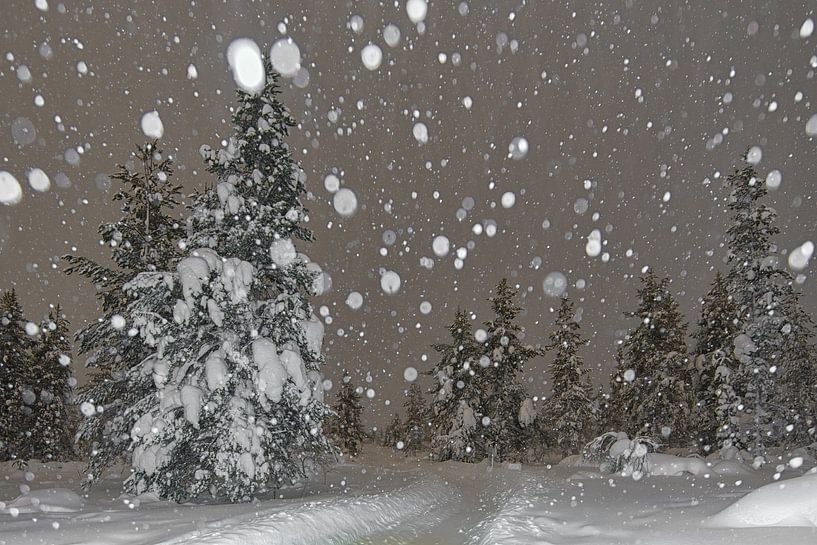 blizzard in the night. by Robinotof