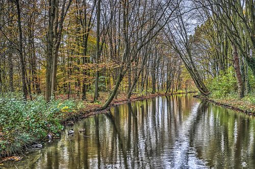 November in Zuiderpark, Rotterdam