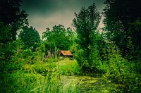 Old barn in the garden at the pond