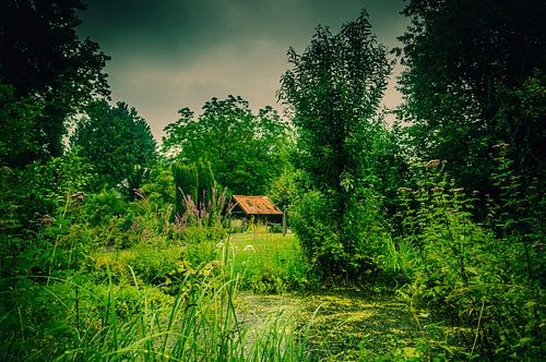 Ancienne grange dans le jardin au bord de l'étang