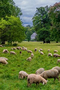 Willkommen im Ilmpark der Klassikerstadt Weimar