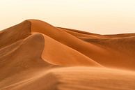 Wind in der Wüste von Bart Hendrix Miniaturansicht