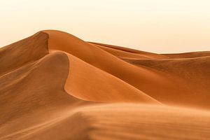 Le vent dans le désert
