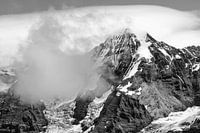 Mönch in black and white