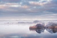 Pastel morning II