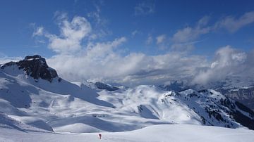 Maschgenkamm, Switzerland