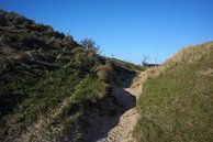 Duinen en stuifzand van Erik Reijnders thumbnail