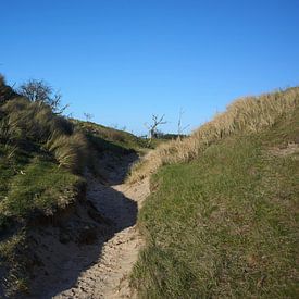 Dünen und Wandersand von Erik Reijnders