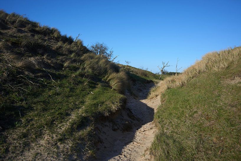 Duinen en stuifzand van Erik Reijnders