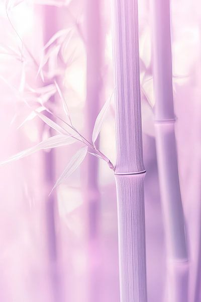 Bamboo sticks in soft pastel colours by Poster Art Shop